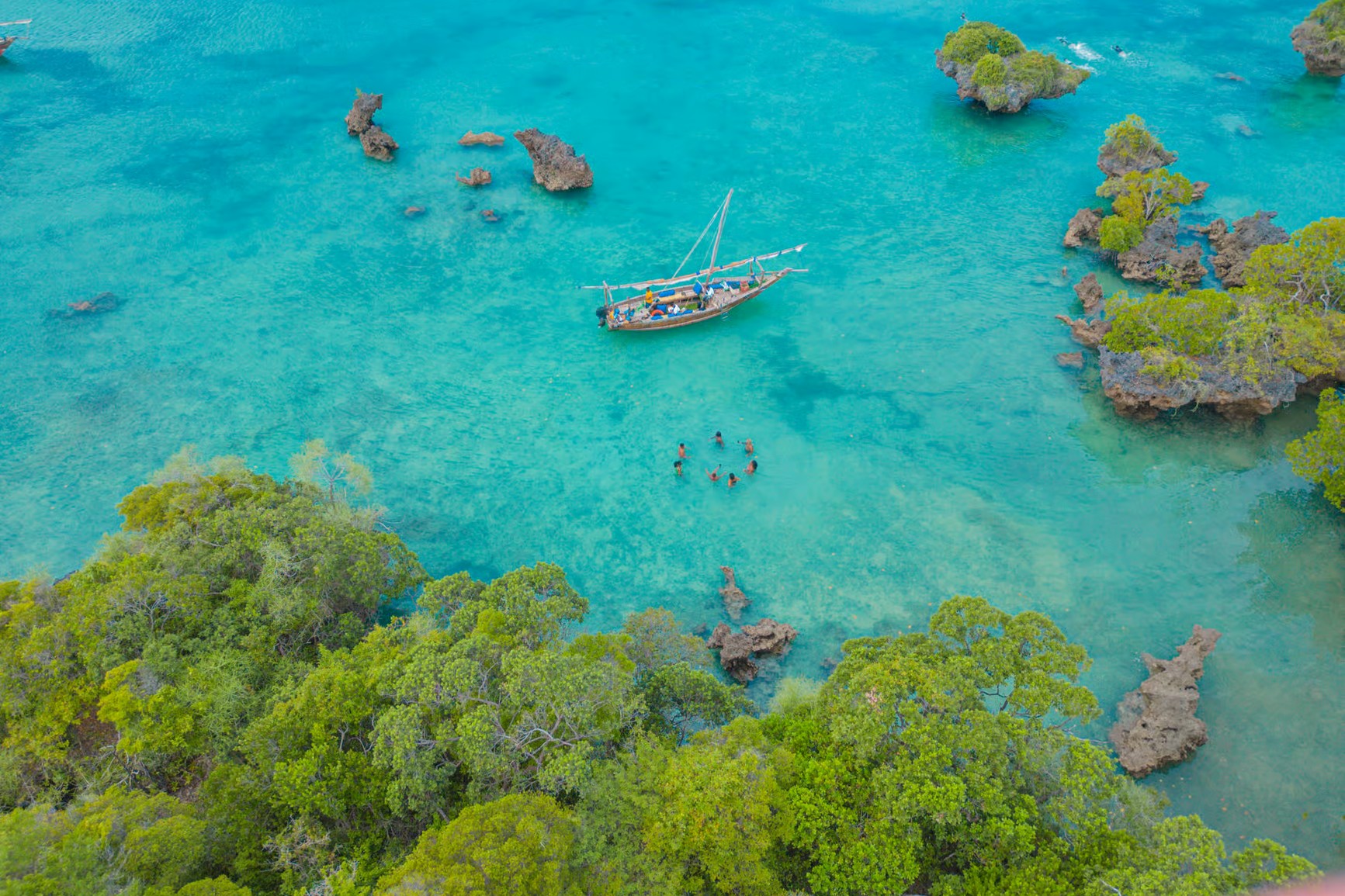 Full Day Safari Blue Trip