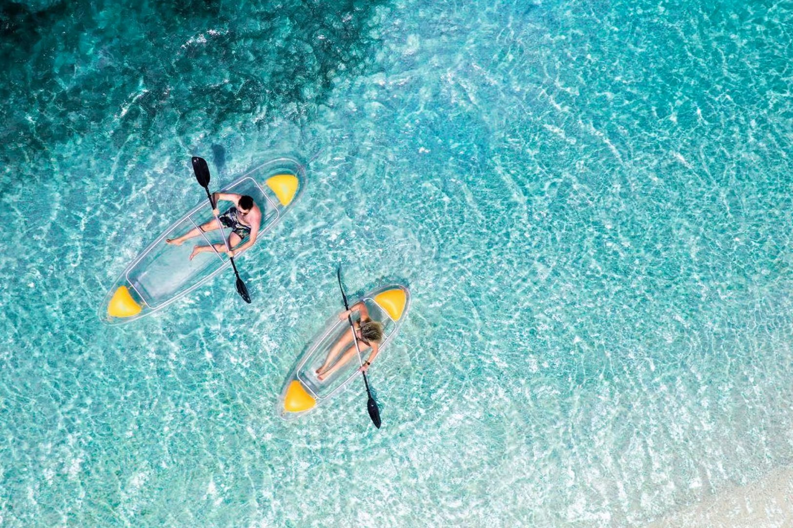 Jozani Forest Kayaking Adventures