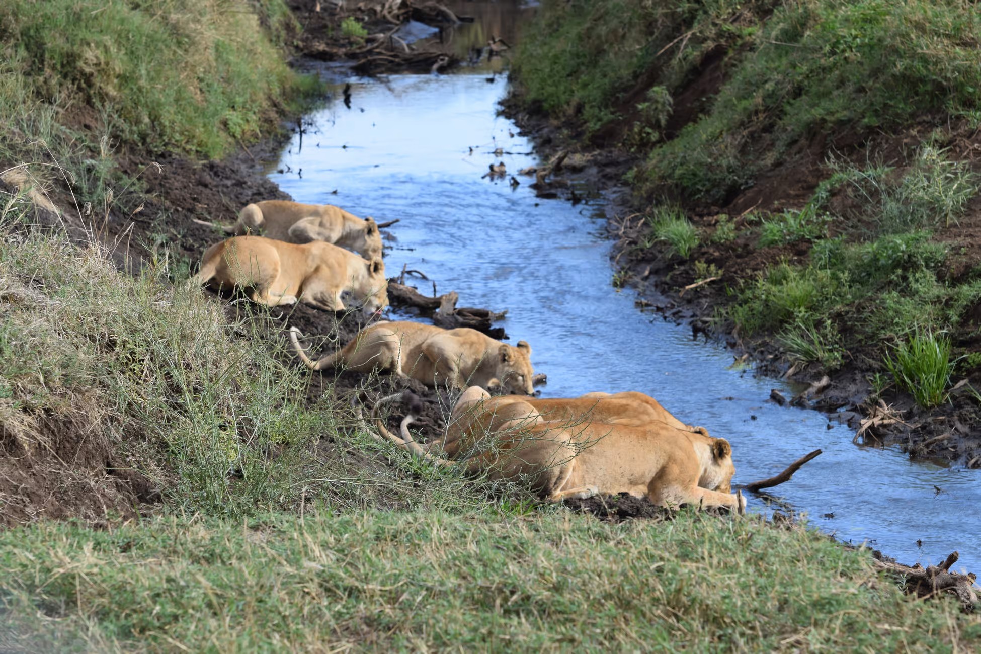Ngorongoro Crater - UNESCO World Heritage Site