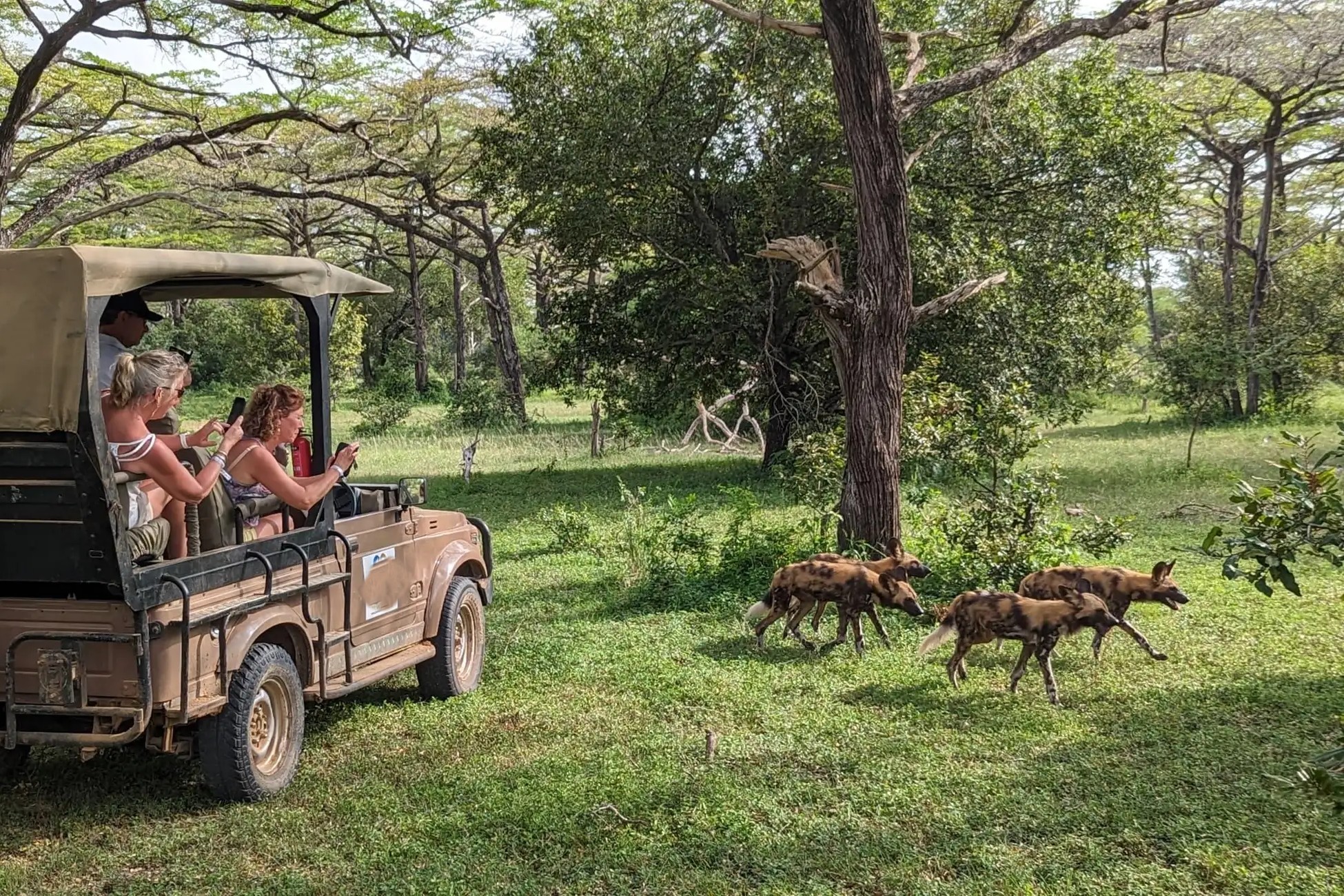 Selous Day Trip Safari from Zanzibar