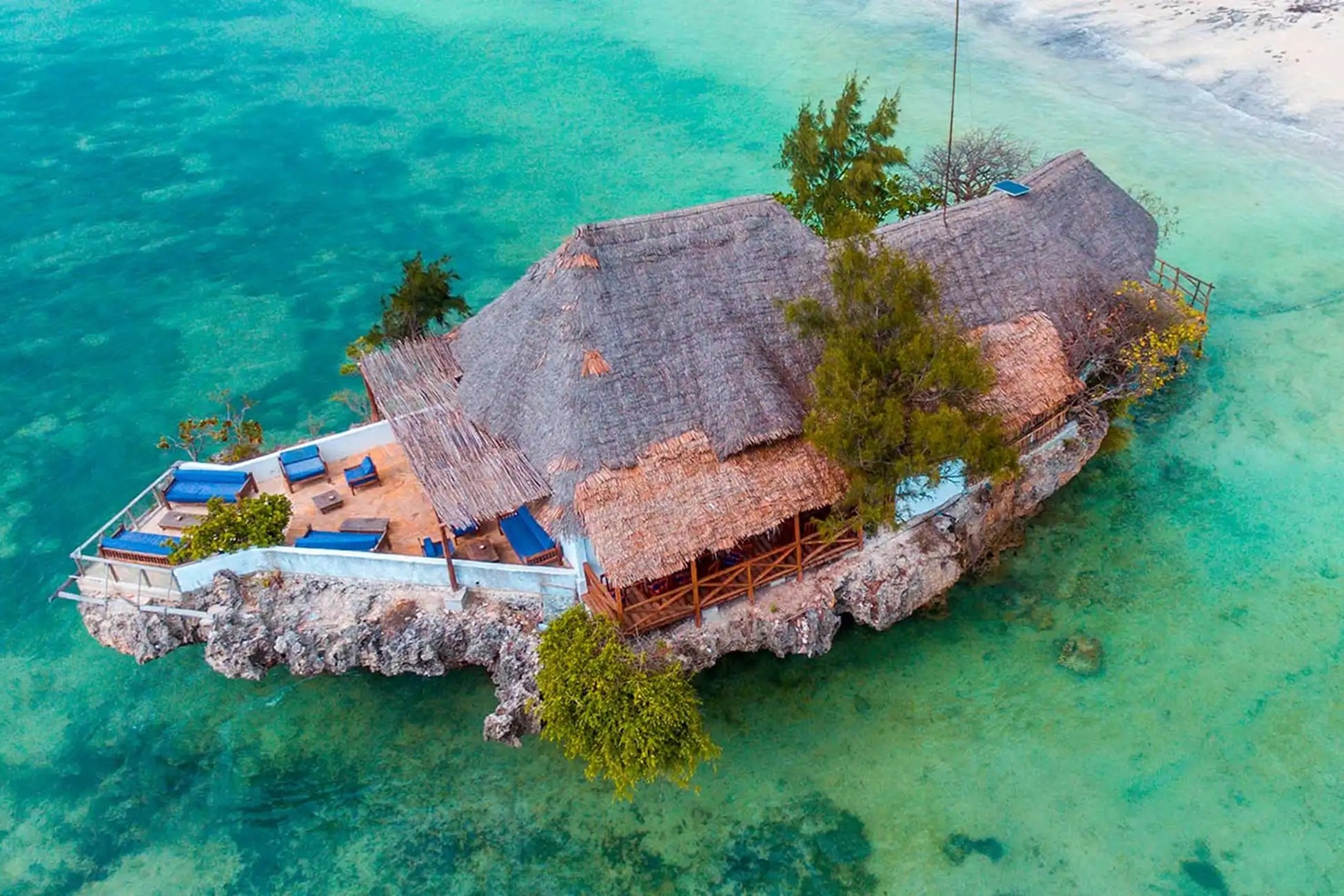 Jozani Forest Kuza Cave Blue Lagoon The Rock Restaurant