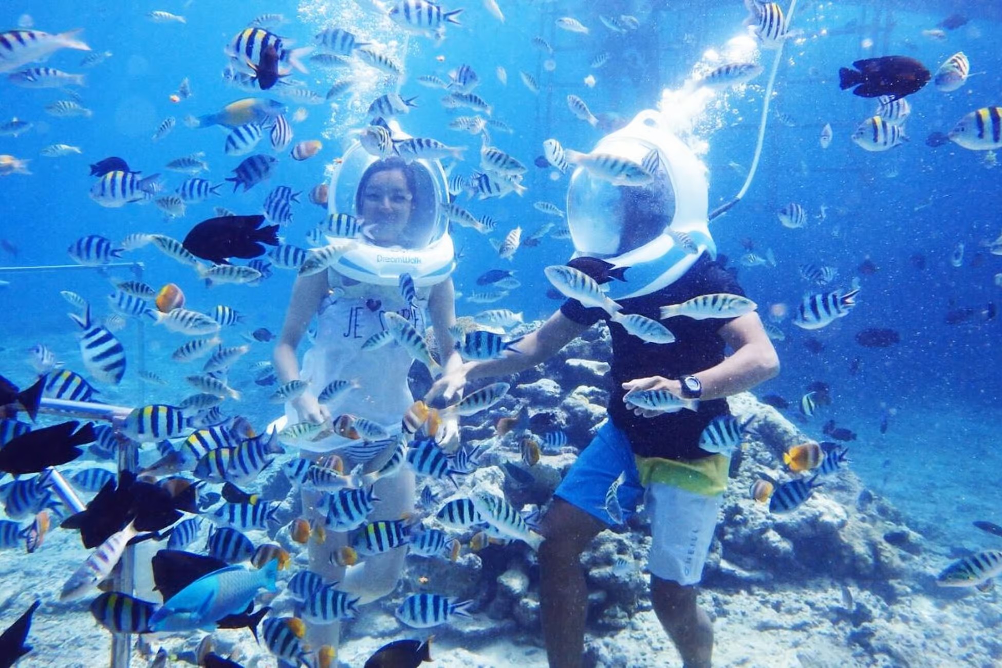 Zanzibar Sea Walk Tour