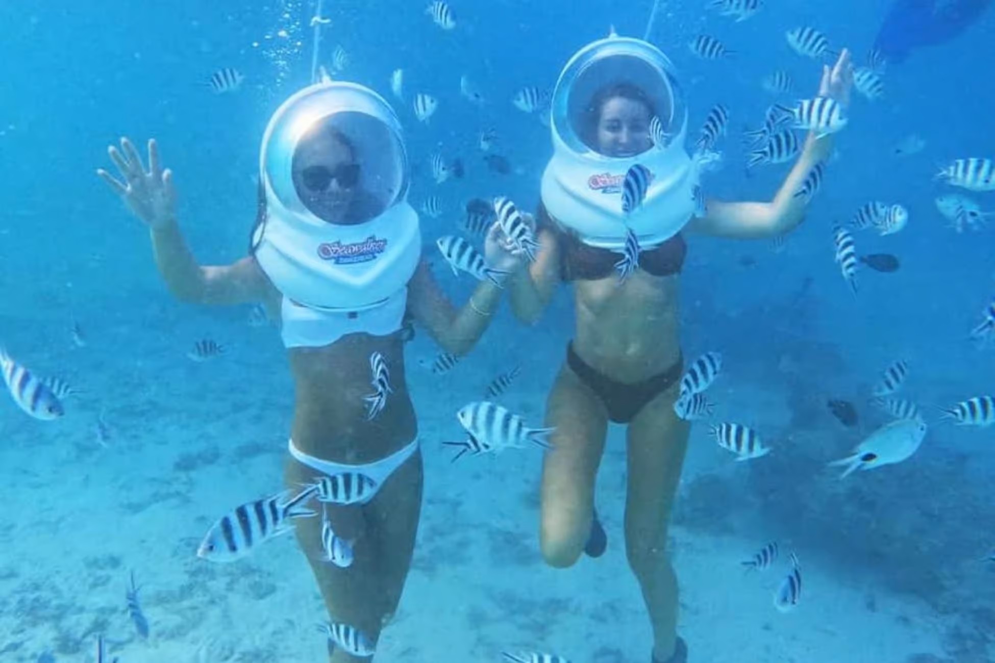 Zanzibar Sea Walk - Marine Life Exploration